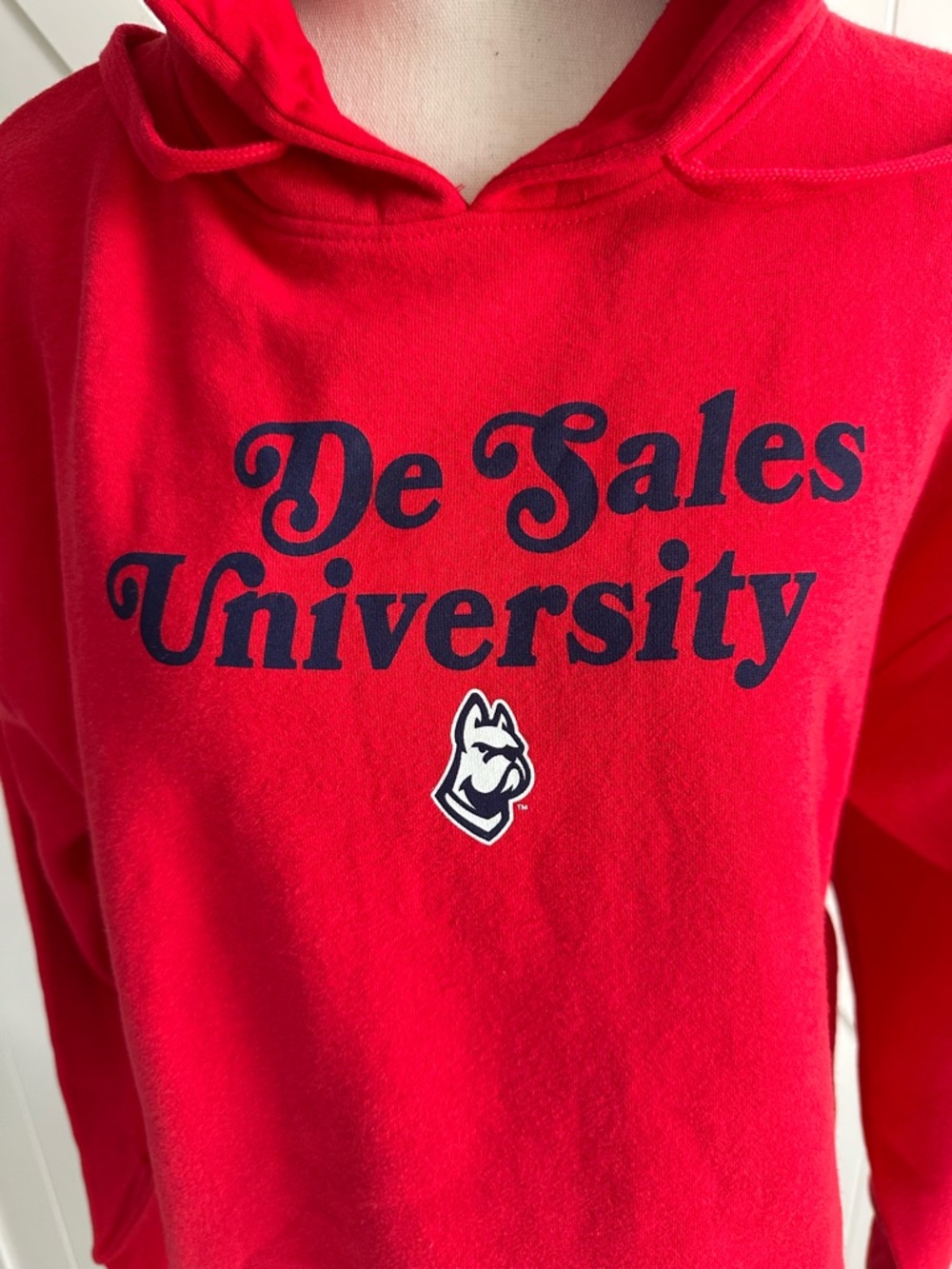Fall Rush DeSales University Red Hoodie Sweatshirt NWT Women’s M - Picture 2 of 8